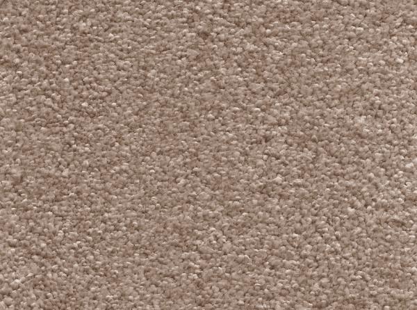 Фото - ковролина aw invictus sirius - 34